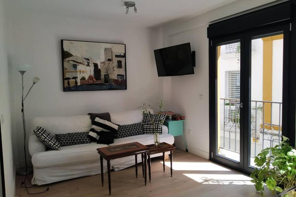 Apartamento Casa Libélula, Loft En El Centro De Sevilla. *